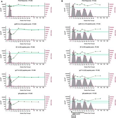 Assessing Anti-HCMV Cell Mediated Immune Responses in Transplant Recipients and Healthy Controls Using a Novel Functional Assay